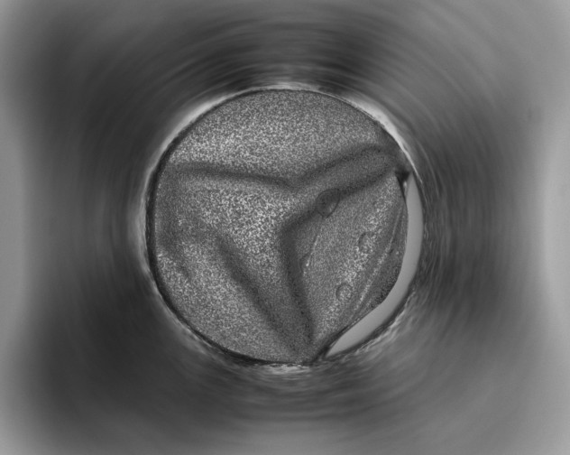 X0000095951147200802011056