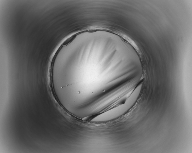 X0000095951148200802011056