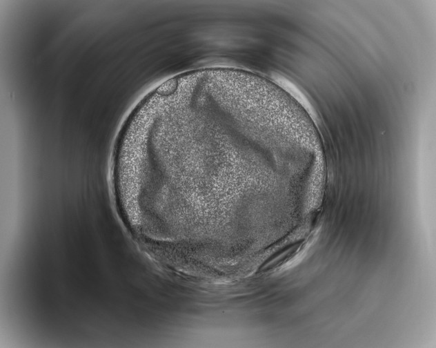 X0000095951149200802011056