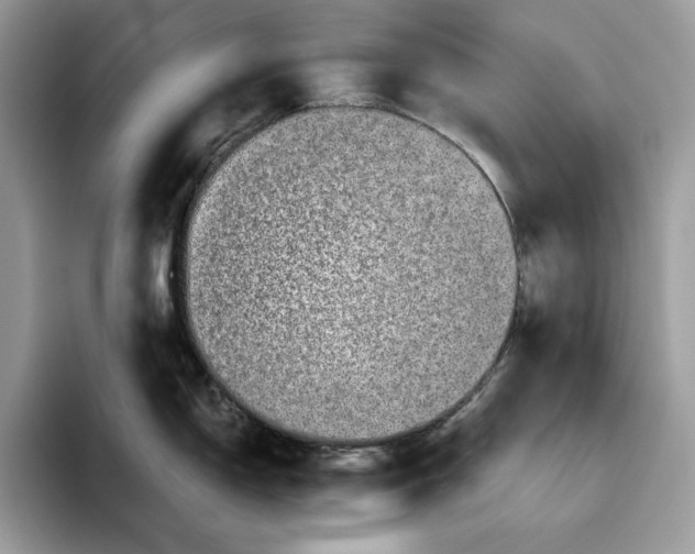 X0000095951150200802011056