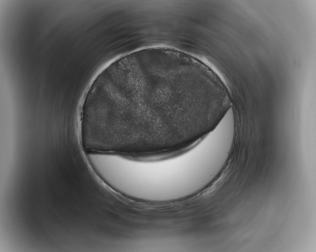 X0000095951151200802011056