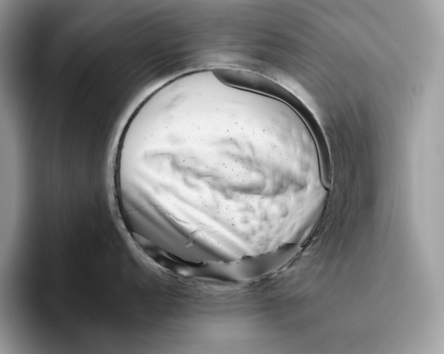 X0000095951152200802011056