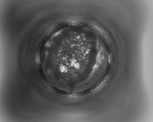 X0000095951155200802011056