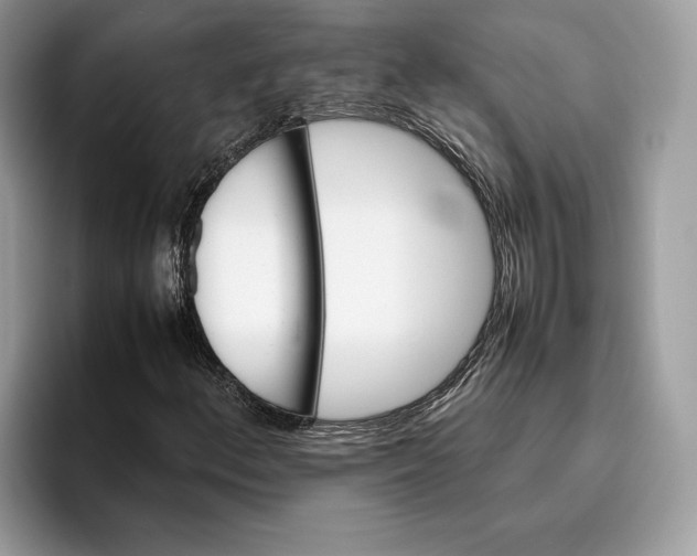 X0000095951156200802011056