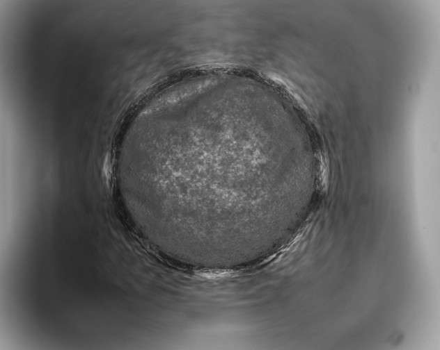 X0000095951157200802011056