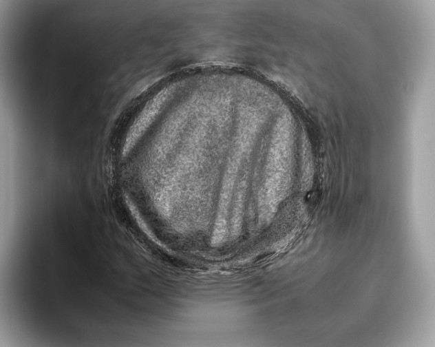 X0000095951159200802011056