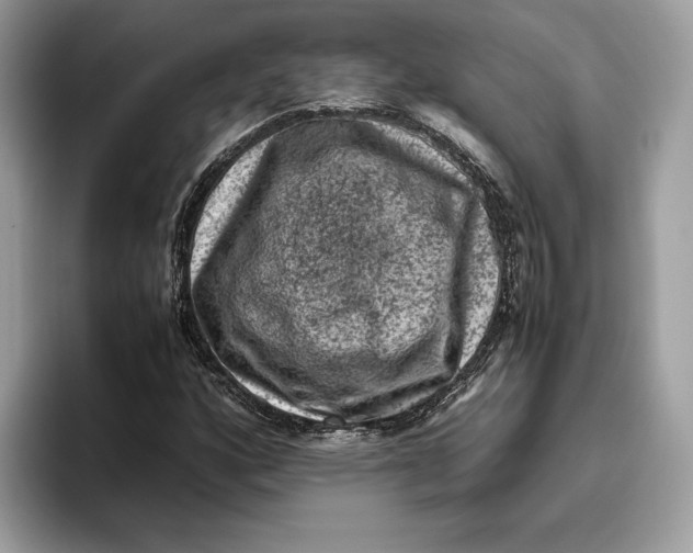 X0000095951160200802011056