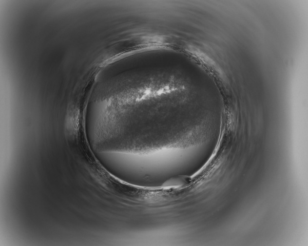 X0000095951161200802011056