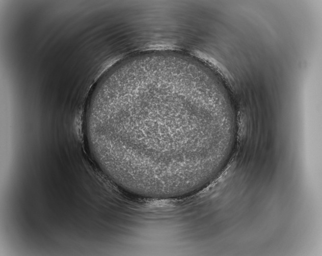 X0000095951162200802011056