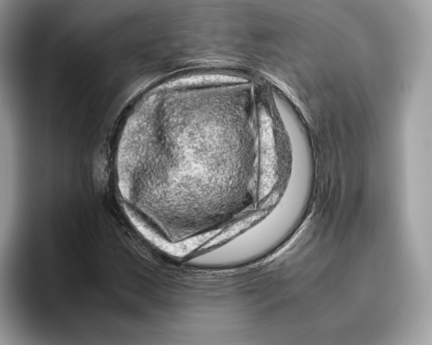 X0000095951163200802011056