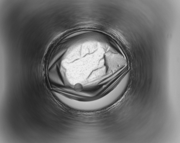 X0000095951164200802011056