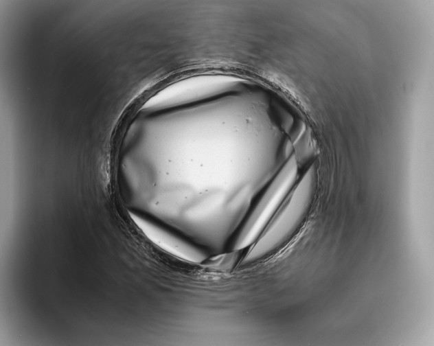 X0000095951165200802011056