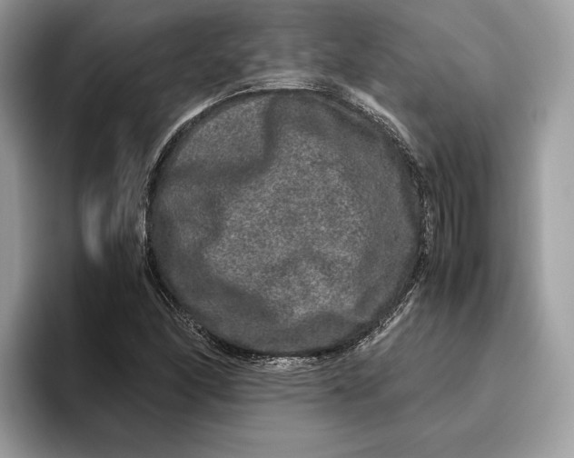 X0000095951166200802011056