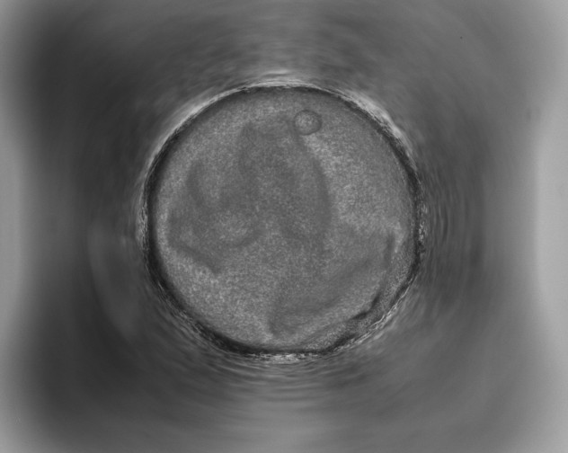 X0000095951167200802011056