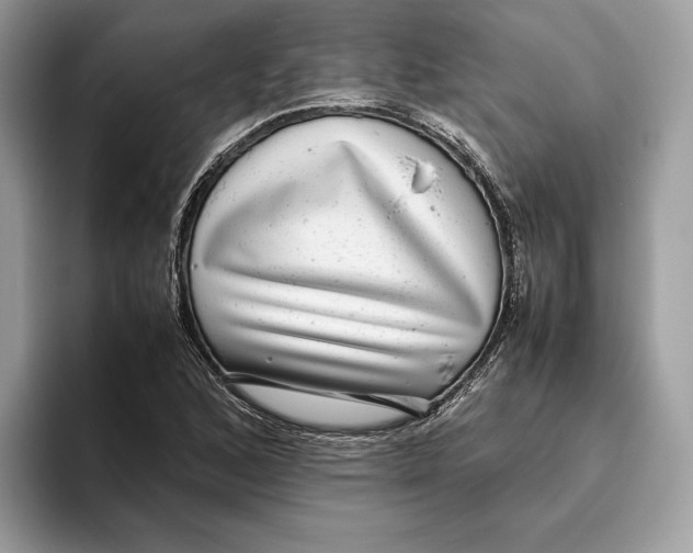 X0000095951168200802011056