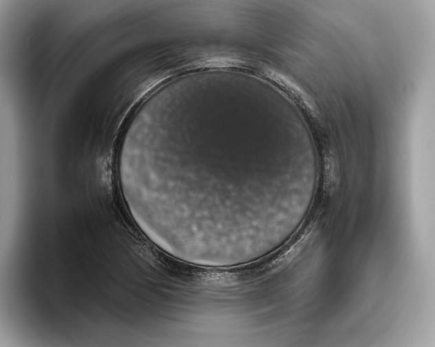 X0000095951170200802011056