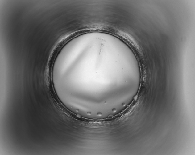 X0000095951172200802011056