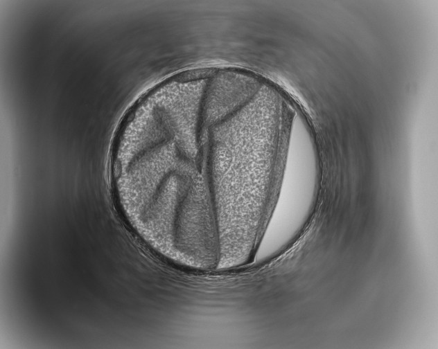 X0000095951173200802011055