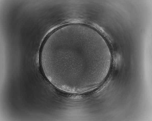 X0000095951174200802011055