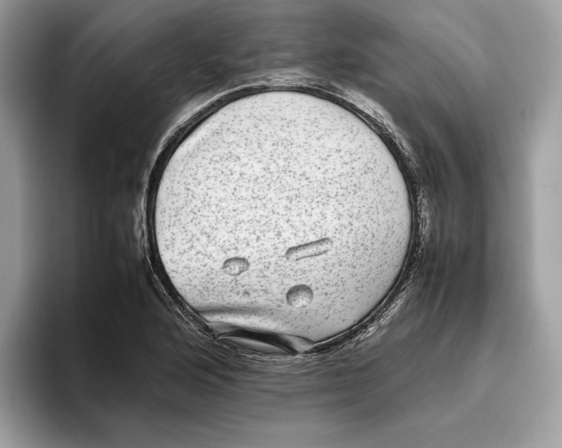 X0000095951176200802011055