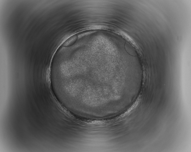 X0000095951178200802011055