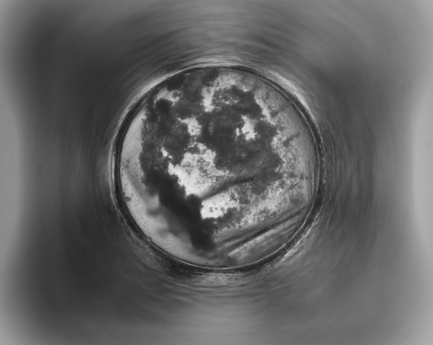 X0000095951179200802011055