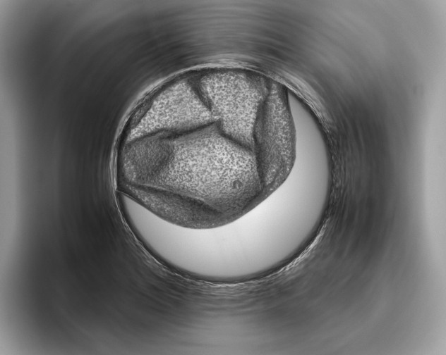 X0000095951180200802011055