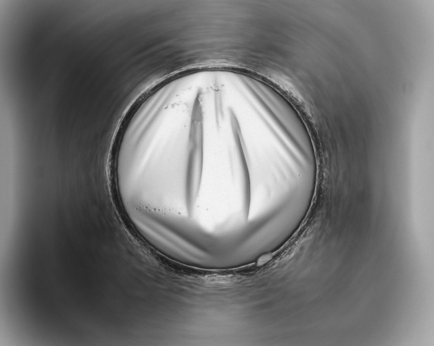 X0000095951181200802011055