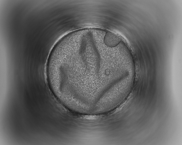 X0000095951182200802011055