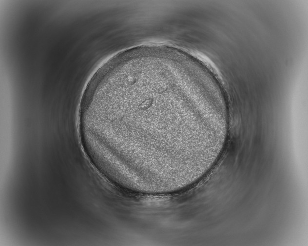 X0000095951183200802011055