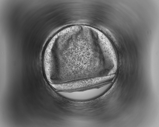 X0000095951184200802011055