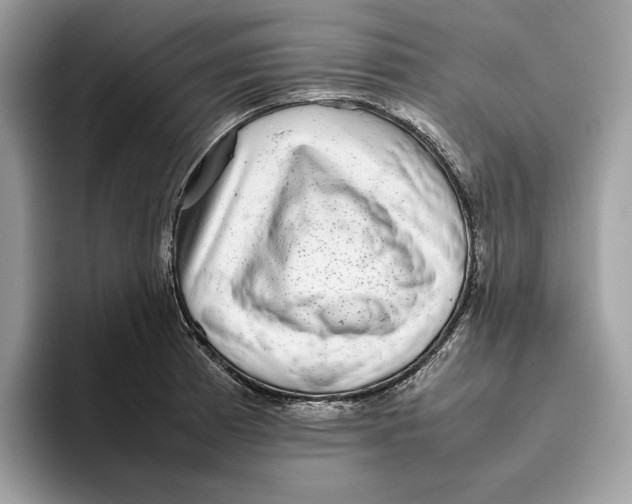 X0000095951185200802011055