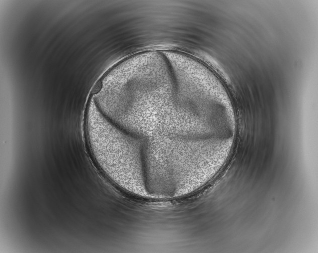 X0000095951186200802011055