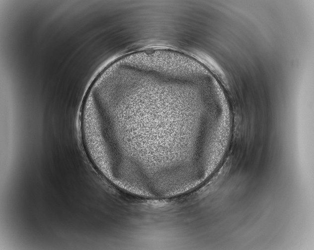 X0000095951190200802011055