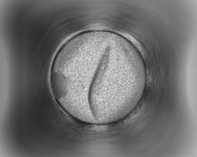 X0000095951191200802011055