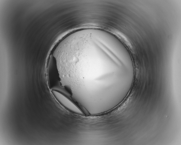 X0000095951192200802011055