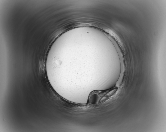 X0000095951193200802011055