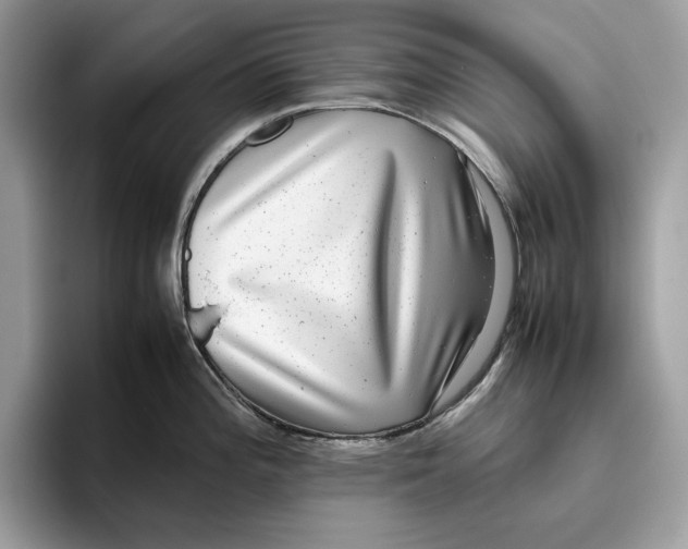 X0000095951196200802011055