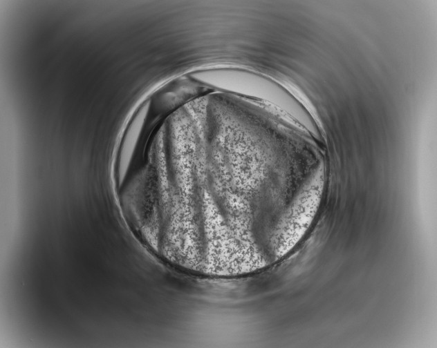 X0000095951197200802011055