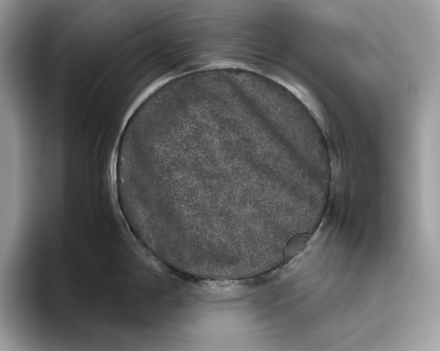 X0000095951198200802011055