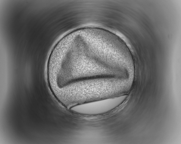 X0000095951199200802011055