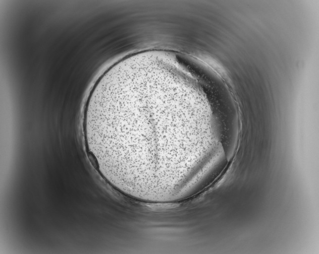 X0000095951200200802011055