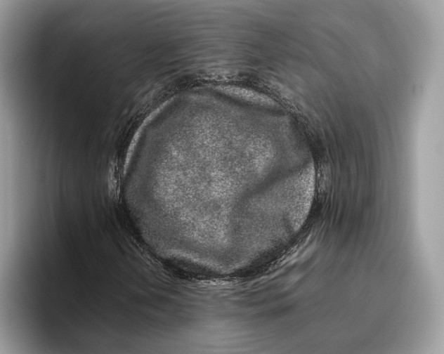 X0000095951202200802011055