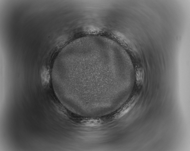 X0000095951204200802011055