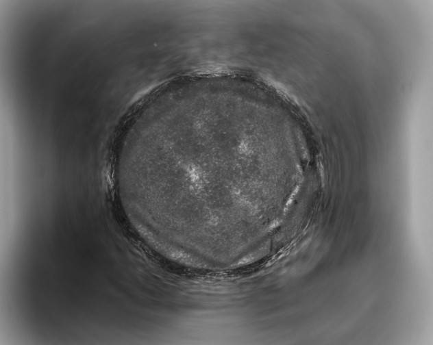 X0000095951206200802011055