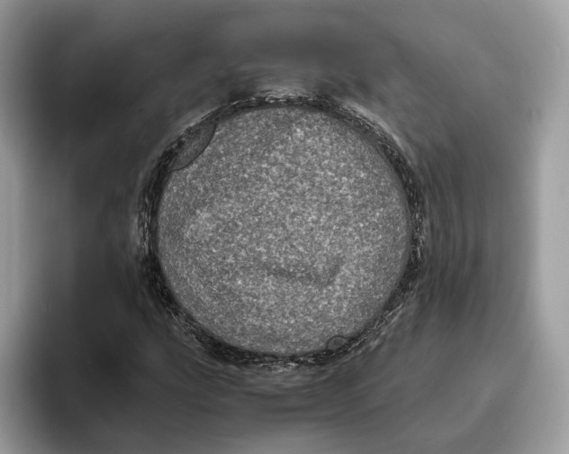 X0000095951207200802011055