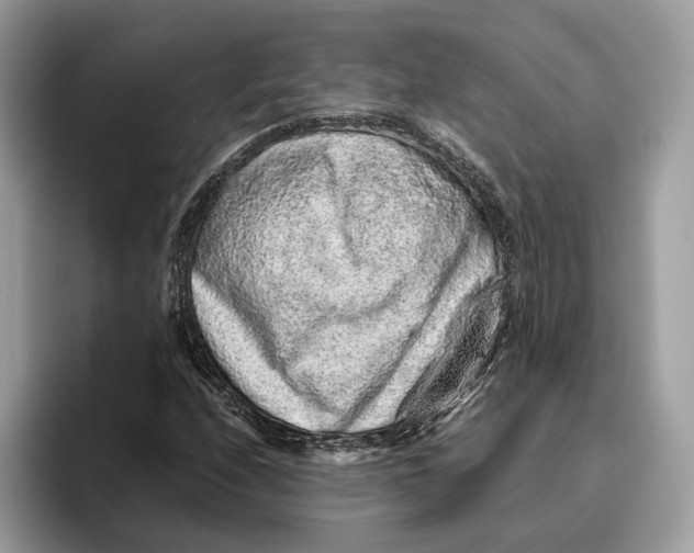 X0000095951208200802011055