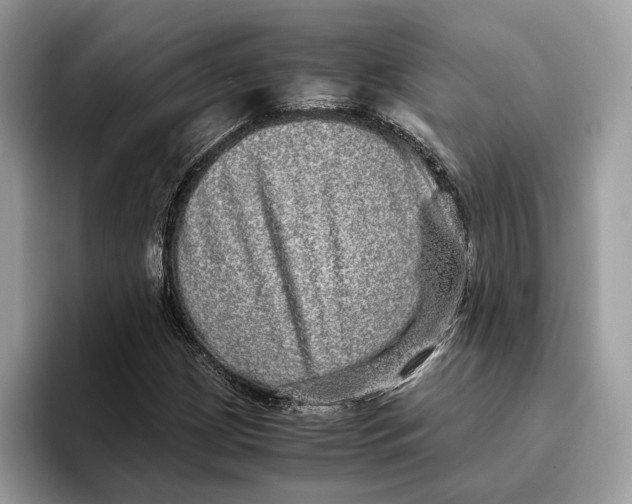 X0000095951209200802011055