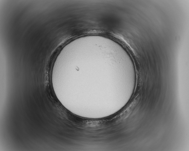 X0000095951211200802011055