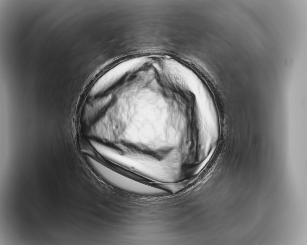 X0000095951212200802011055